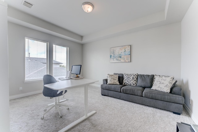 6907 Pondhawk Dr, Katy, TX 77493 - office featuring carpet floors and a tray ceiling