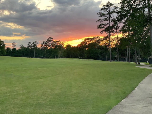 35 Player Oaks Pl, The Woodlands, TX 77382 - photo 6