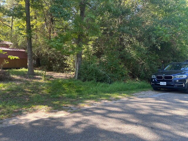0 Impala Dr, Onalaska, TX 77360 - photo 1