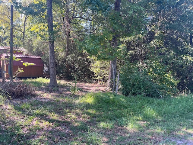 0 Impala Dr, Onalaska, TX 77360 - photo 2