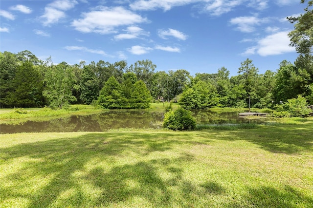 402 County Road 6401, Kenefick, TX 77535 - photo 24