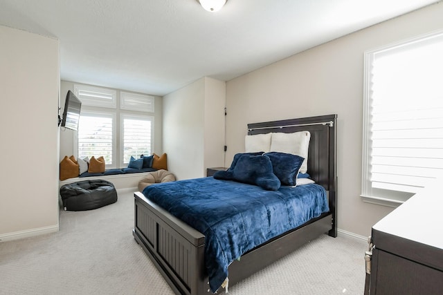 9411 Plaza Point Dr, Missouri City, TX 77459 - bedroom with light carpet