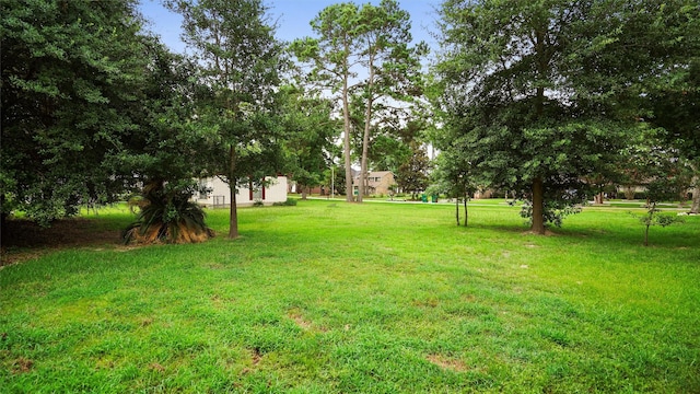 14691 Diamondhead S, Conroe, TX 77356 - photo 13