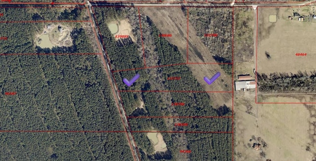 401 Pelican Rd, Shepherd, TX 77371 - photo 6