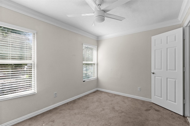7710 Harpers Glen Ln, Houston, TX 77072 - photo 24