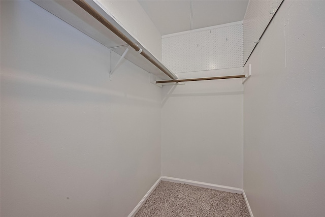 22303 Walnut Valley Dr, Spring, TX 77389 - walk in closet with carpet