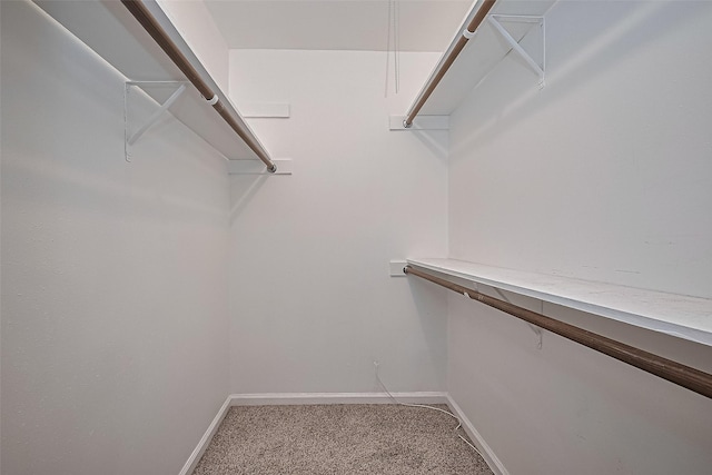 22303 Walnut Valley Dr, Spring, TX 77389 - spacious closet with light carpet
