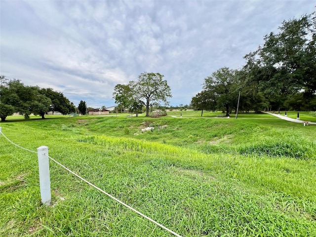 16711 David Glen Dr, Friendswood, TX 77546 - view of yard