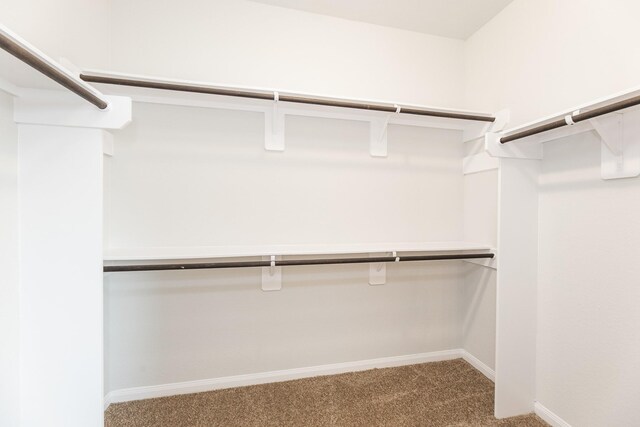 2931 Orchid Ranch Dr, Katy, TX 77494 - walk in closet with carpet floors