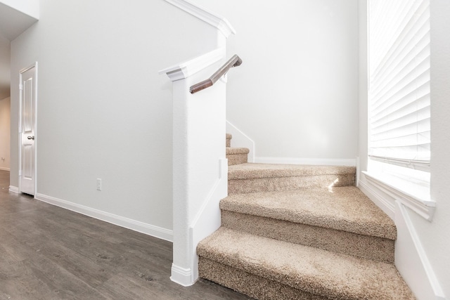 2931 Orchid Ranch Dr, Katy, TX 77494 - staircase featuring wood finished floors and baseboards