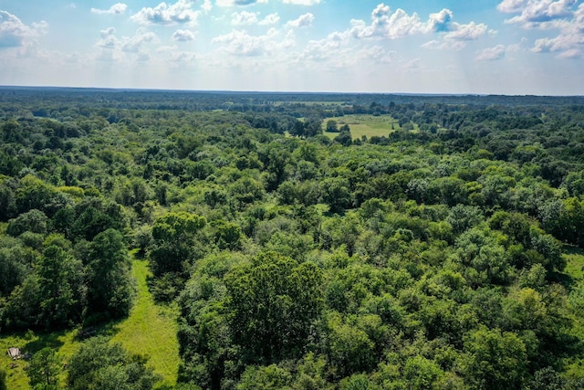 34ACRES Fm 1374, Huntsville, TX 77340