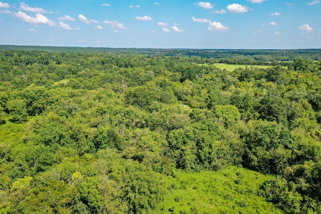 34ACRES Fm 1374, Huntsville, TX 77340
