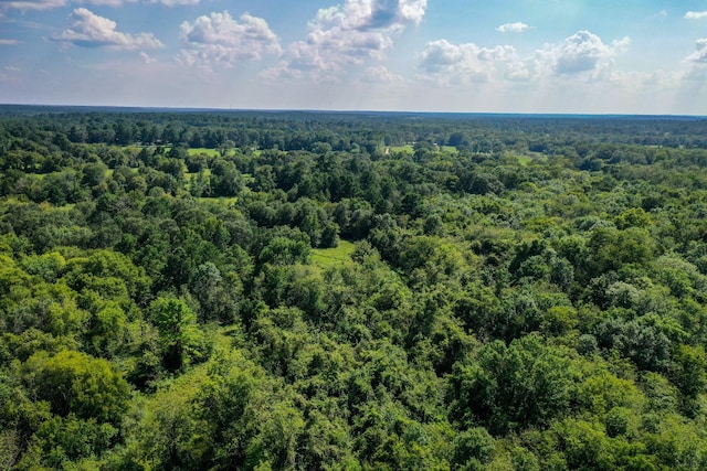 34ACRES Fm 1374, Huntsville, TX 77340
