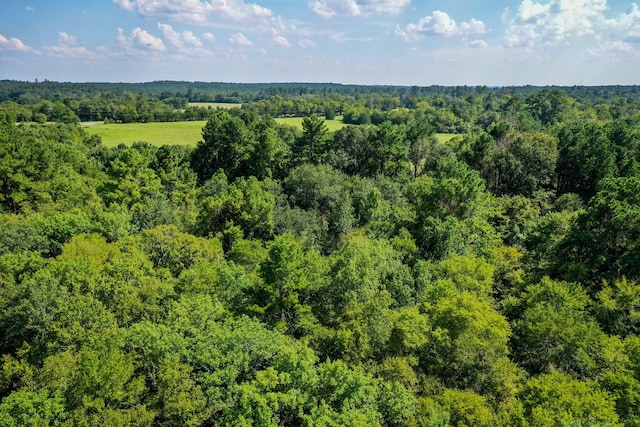 34ACRES Fm 1374, Huntsville, TX 77340