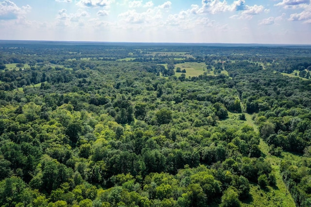 34ACRES Fm 1374, Huntsville, TX 77340