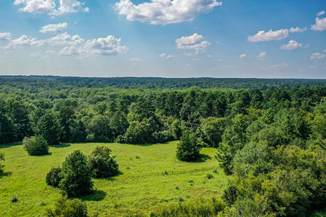 34ACRES Fm 1374, Huntsville, TX 77340