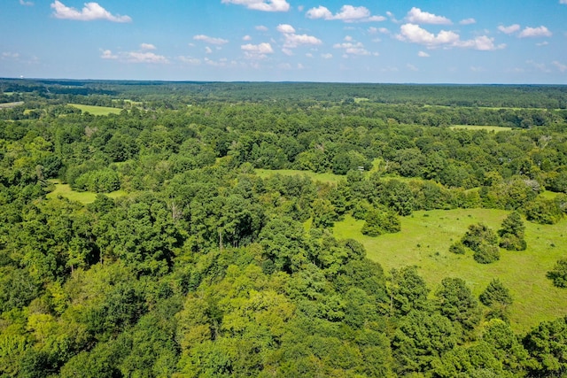 34ACRES Fm 1374, Huntsville, TX 77340