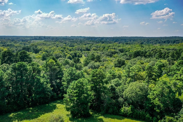 34ACRES Fm 1374, Huntsville, TX 77340