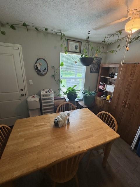 3940 Frontier Rd, Willis, TX 77378 - dining area featuring wood finished floors and a textured ceiling