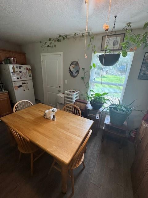 3940 Frontier Rd, Willis, TX 77378 - dining space featuring a textured ceiling and wood finished floors