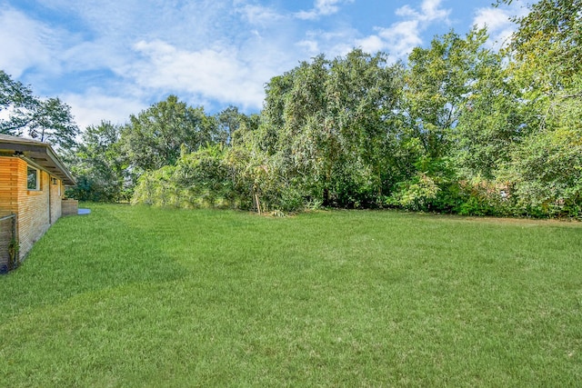 1805 E Ave, Katy, TX 77493 - view of grassy yard