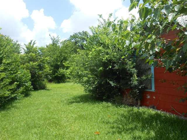 1118 Elberta St, Houston, TX 77051