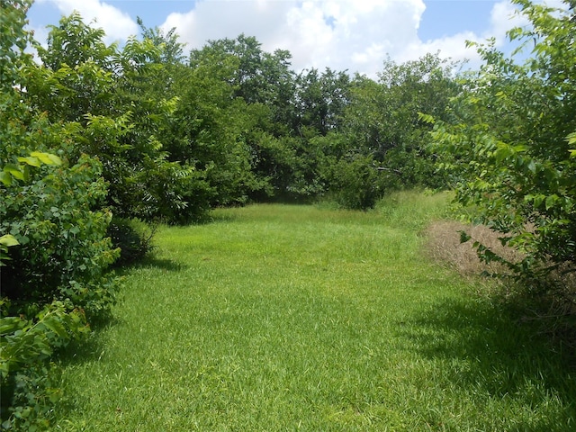 1118 Elberta St, Houston, TX 77051