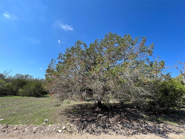 638-756 Sd 46820, Rocksprings, TX 78880 - photo 12
