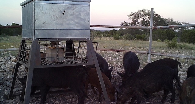 638-756 Sd 46820, Rocksprings, TX 78880 - photo 6