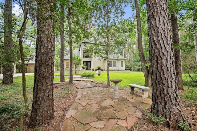 6602 Ranch Park Dr, Magnolia, TX 77354 - view of green lawn