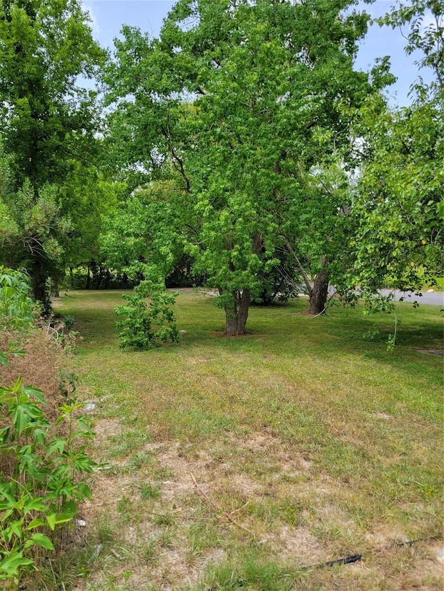 3206 Mcilhenny St, Houston, TX 77004