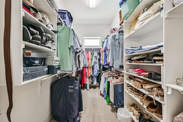 2424 Prairie Mist Ln, Friendswood, TX 77546 - view of walk in closet