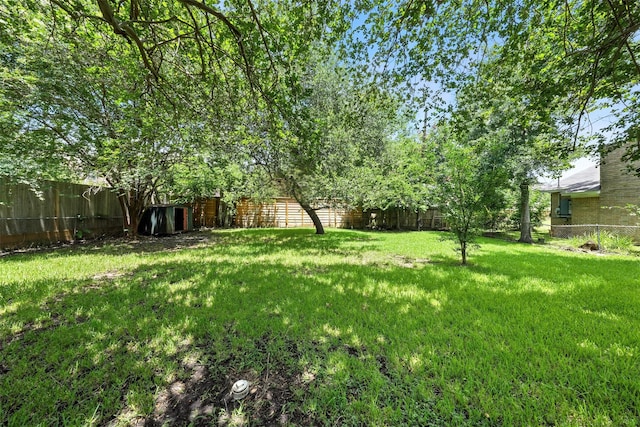 6305 S Rice Ave, Bellaire, TX 77401 - view of fenced backyard