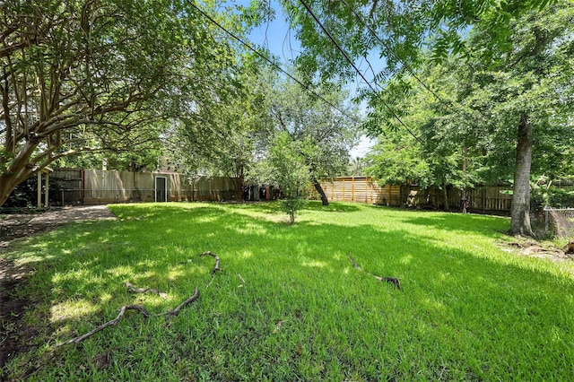 6305 S Rice Ave, Bellaire, TX 77401 - view of fenced backyard