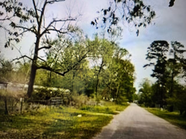 27436 Lantern Ln, New Caney, TX 77357 - view of community