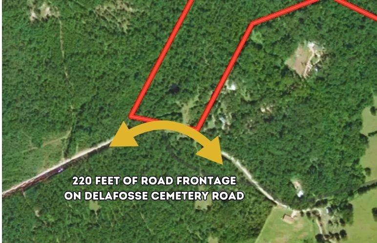 0 Delafosse Cemetery Rd, Onalaska, TX 77360 - photo 2