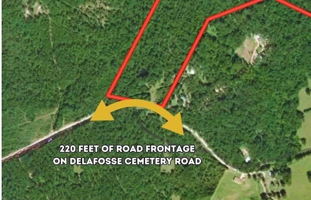 0 Delafosse Cemetery Rd, Onalaska, TX 77360 - photo 2