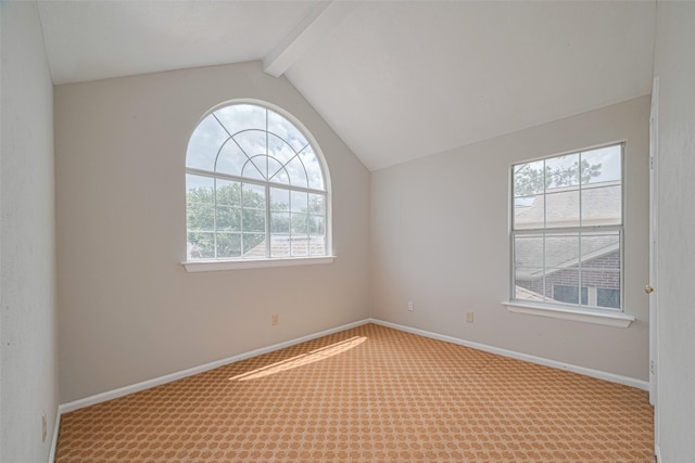 1315 Indian Autumn Trce, Houston, TX 77062 - photo 28