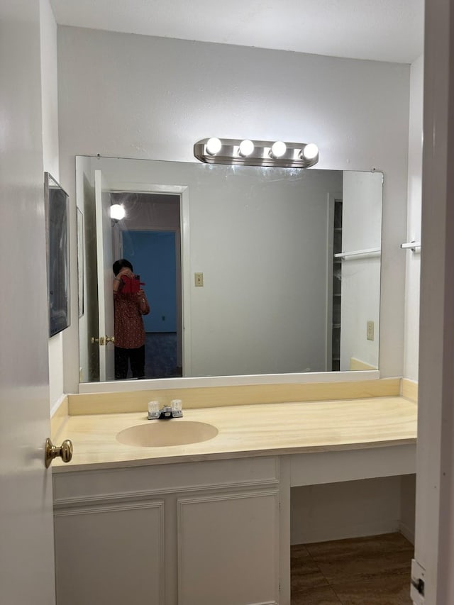 10555 Turtlewood Ct Unit 613, Houston, TX 77072 - bathroom with vanity and wood finished floors