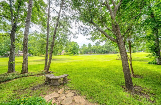738 Stone Mountain Dr, Conroe, TX 77302 - view of green lawn