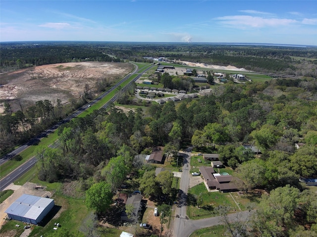 144 Satisfied Dr, Livingston, TX 77351 - photo 6