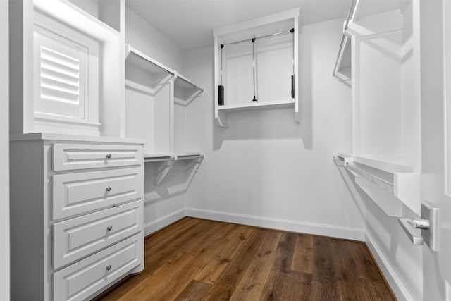 1156 Mosaico Ln, Houston, TX 77055 - spacious closet with dark wood finished floors