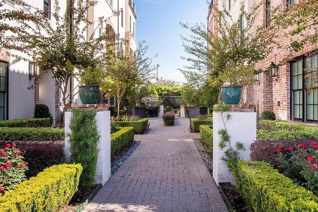 1156 Mosaico Ln, Houston, TX 77055 - view of property's community