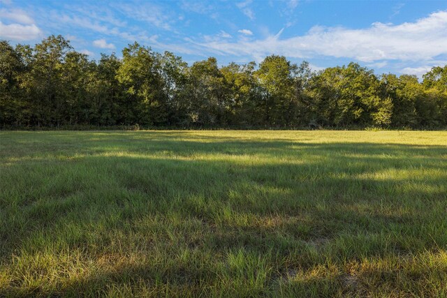 520 Fm 1965, La Grange, TX 78945 - photo 7