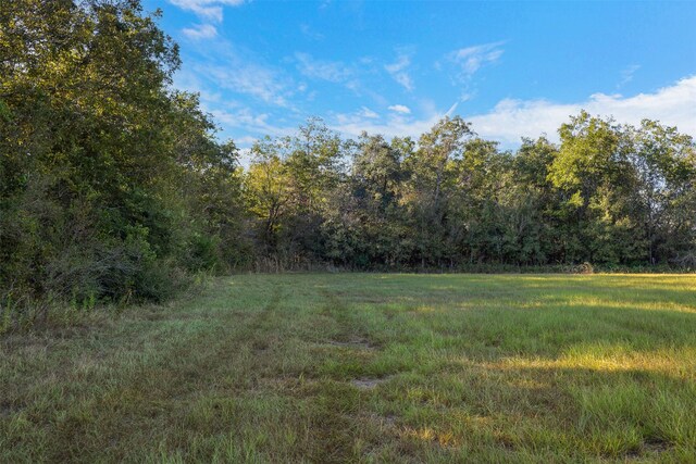 520 Fm 1965, La Grange, TX 78945 - photo 8