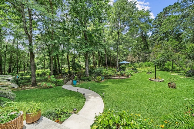 7417 Teaswood Dr, Conroe, TX 77304 - view of grassy yard