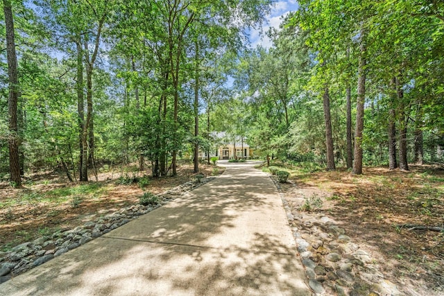 7417 Teaswood Dr, Conroe, TX 77304 - view of community with driveway