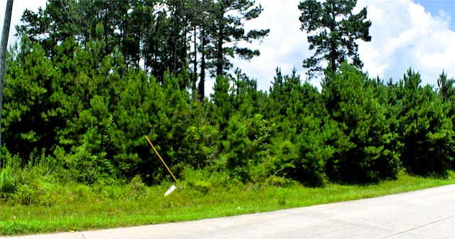238 County Road 3545, Cleveland, TX 77327 - photo 2