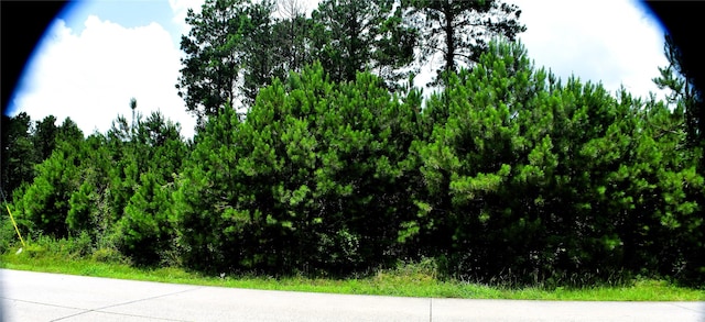 238 County Road 3545, Cleveland, TX 77327 - photo 3