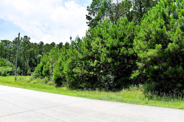 238 County Road 3545, Cleveland, TX 77327 - photo 4